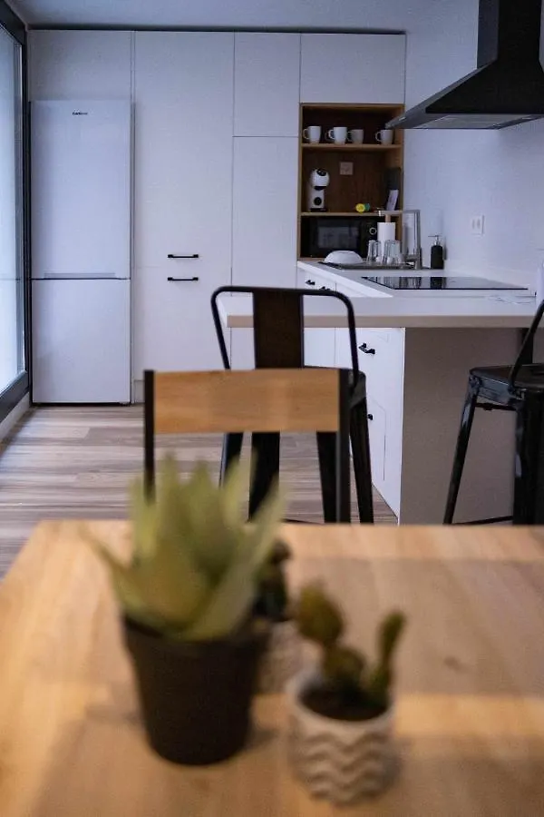 Velalma Duplex Centro Historico Apartment Jaen